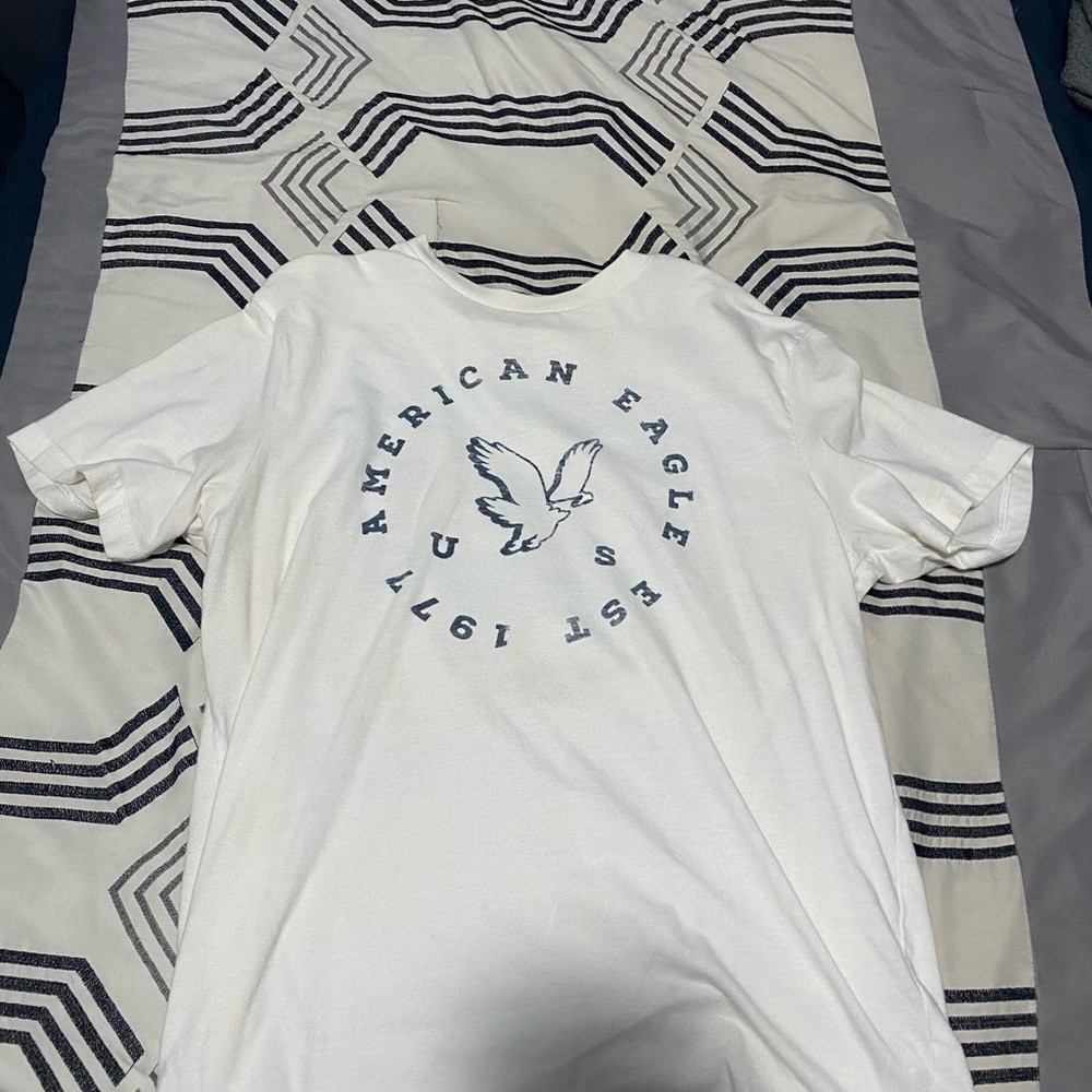 American Eagle Outfitters White and Blue Graphic Tee